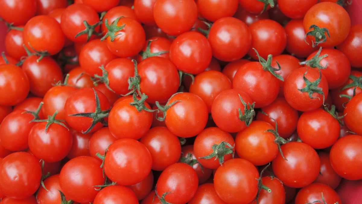 snowday83-cherry-tomato-4330441 (1).jpg